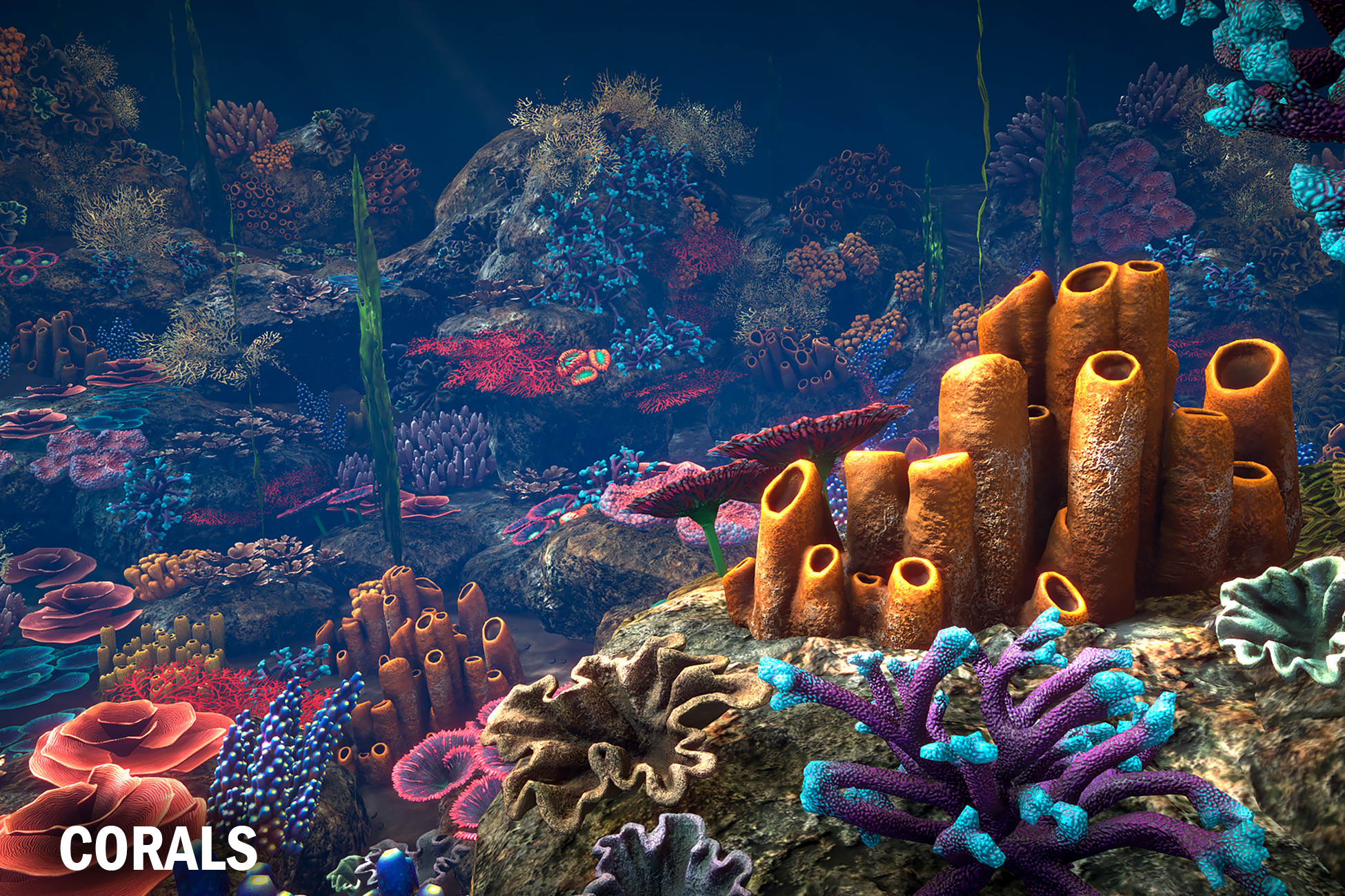 Corals - Free Download | Dev Asset Collection