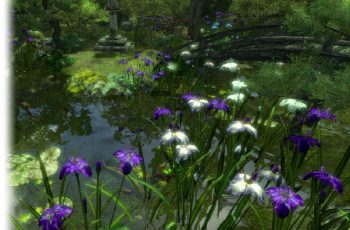 Japanese Iris Garden Pack – Free Download