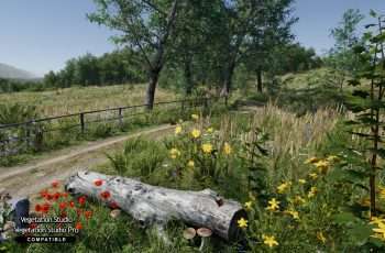 Meadow Environment – Dynamic Nature – Free Download