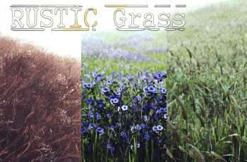 RUSTIC Grass – Free Download