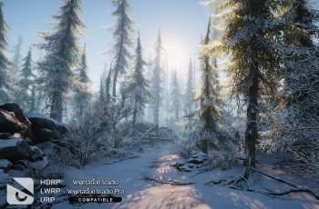 Winter Environment – Nature Pack – Free Download