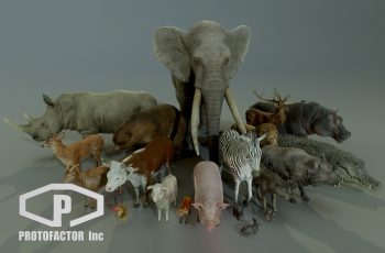 ANIMALS FULL PACK – Free Download