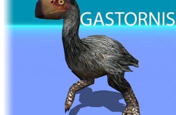 Gastornis (Diatryma) prehistoric flightless bird – Free Download