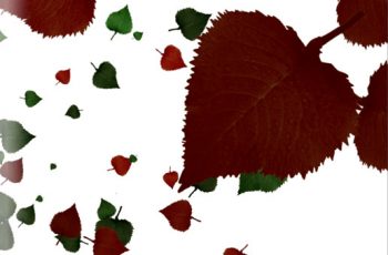 Leaves Particle Pack – Free Download