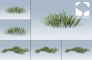 Thick Grass Package – Free Download