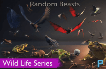 Wild Life – Random Beasts – Free Download