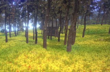 uNature – GPU Grass and Interactable Trees – Free Download