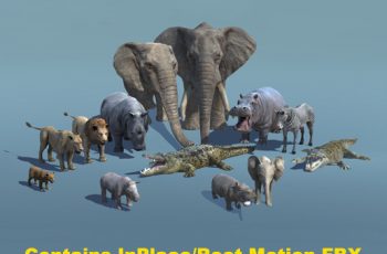 African Animal Pack 1 – Free Download