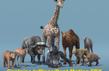 African Animal Pack 2 – Free Download