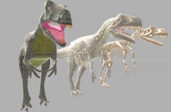 Allosaurus And Skeleton – Free Download