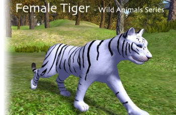 Animated Tigers – Female – Free Download