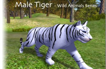 Animated Tigers – Male – Free Download