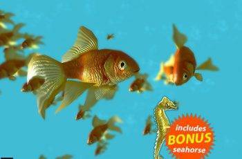 Fish School Goldfish – Free Download