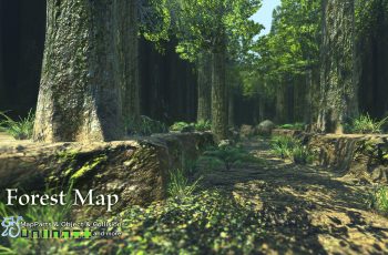 Forest Map – Free Download