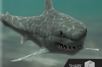 PA Shark – Free Download