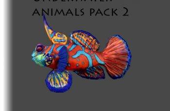 Underwater Animals Pack 2 – Free Download
