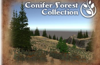 Conifer Forest Collection – Free Download