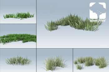Desktop Grass Package – Free Download