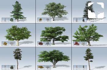 Desktop Trees Package – Free Download