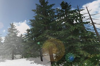 Detailed Pine Trees – Free Download