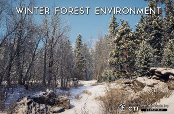 Winter Forest Environment – Free Download