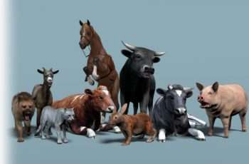 Domestic Animal Pack 1 – Free Download