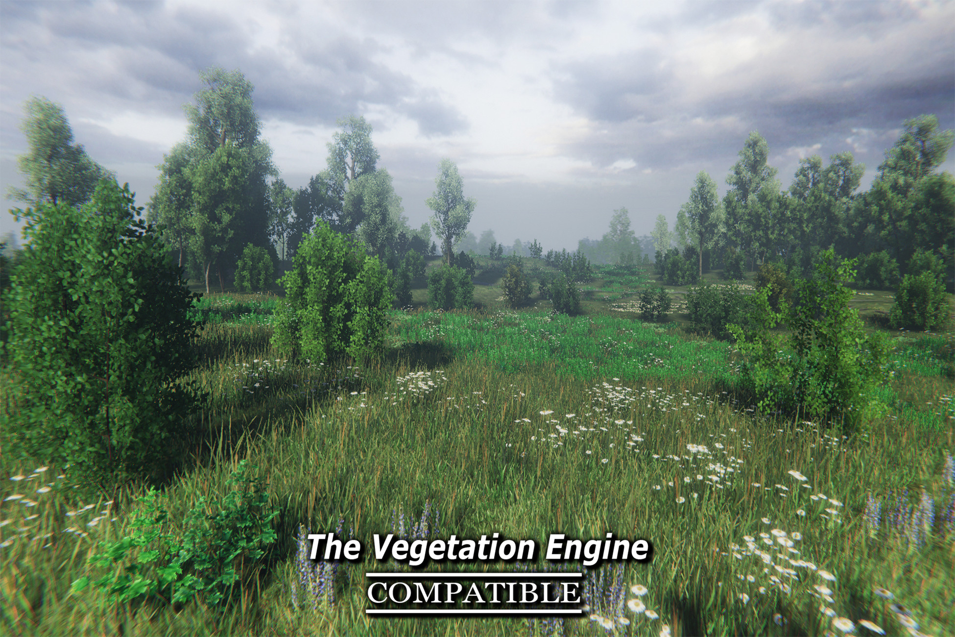 Unity forest. Stalker environment. Swamp environment. 3d environment nature. Devoid of vegetation.