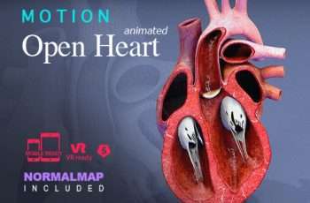 Motion open Heart – Free Download