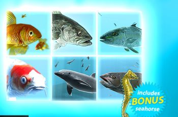 Fish School Bundle – Free Download
