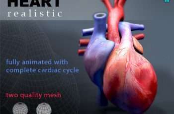 Heart Animated Realistic – Free Download