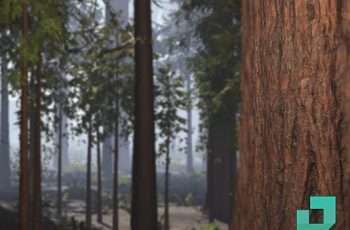 RedWood Forest Pack – Free Download
