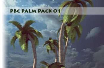 PBC Palm Pack 01 – Free Download