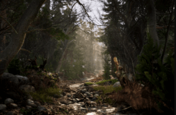 Real Landscapes – Valley Forest – Free Download