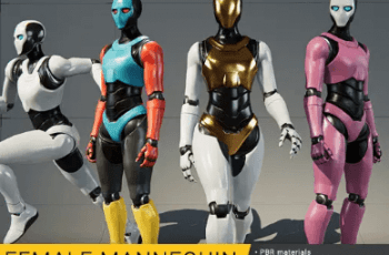 Female Mannequin (Humanoid rig) – Free Download