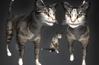 HerdSim Cat – Free Download