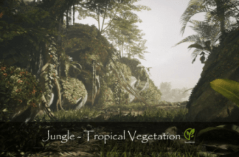 Jungle – Tropical Vegetation – Free Download