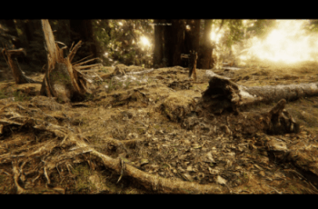 3D Scans – Forest Pack – Free Download