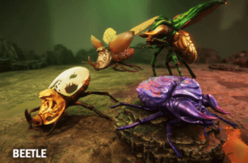 Beetles – Free Download