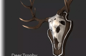 Deer Trophy Decoration – Free Download