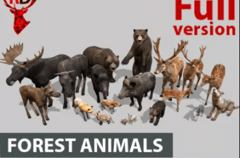 Forest animals – Free Download