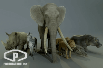 AFRICAN ANIMALS PACK – Free Download