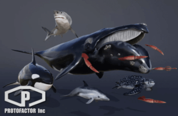OCEAN ANIMALS PACK VOL 1 – Free Download