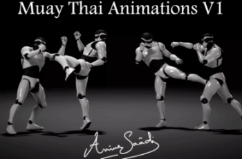 Combat animations – Kickboxing and Muay Thai V1 – Free Download