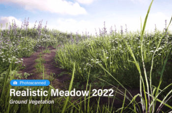 Realistic Meadow 2022 – Ground Vegetation – Free Download