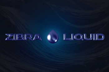 Zibra Liquid – Free Download