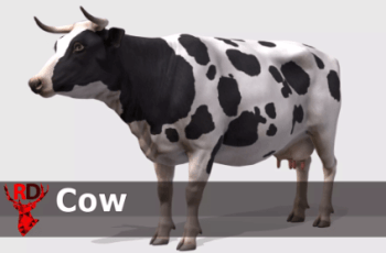 Cow realistic – Free Download