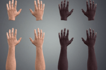 Leap Motion Realistic Male Hands – Free Download