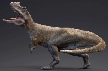 Ceratosaurus – 82 Animations – Real Dinosaur Series – Free Download