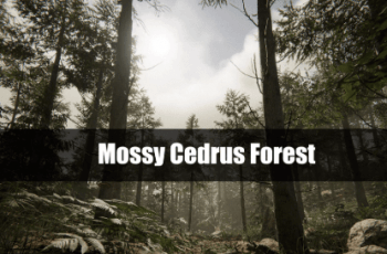 Mossy Cedrus Forest – Free Download