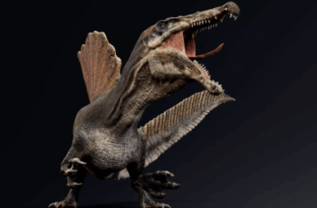Spinosaurus Real Dinosaur Series – Free Download